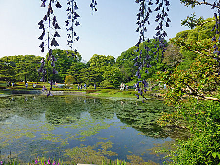 皇居二の丸庭園