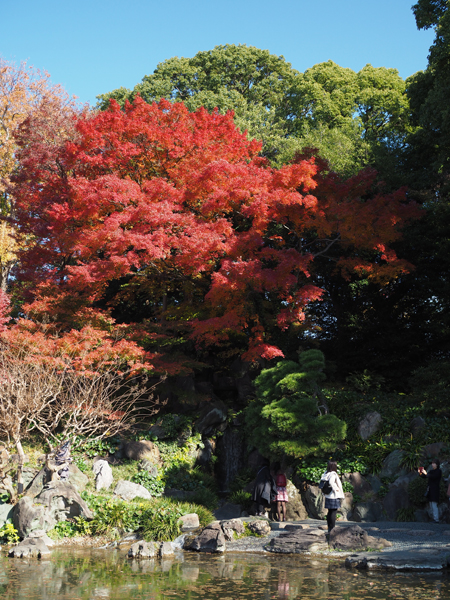 二の丸庭園