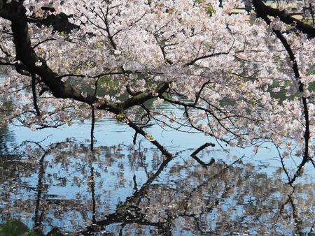 中の池