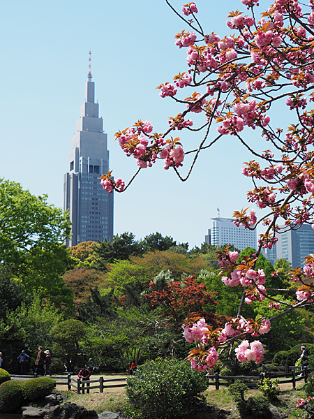 関山