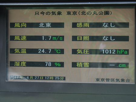 露場