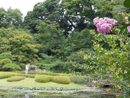 皇居二の丸庭園