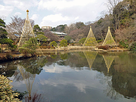 新江戸川公園