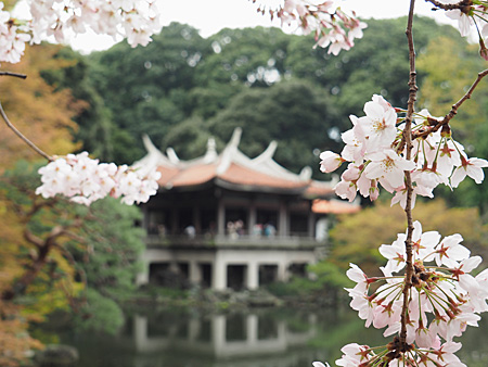 台湾閣