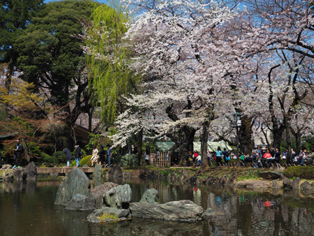 日本庭園
