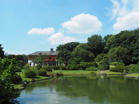 小石川植物園