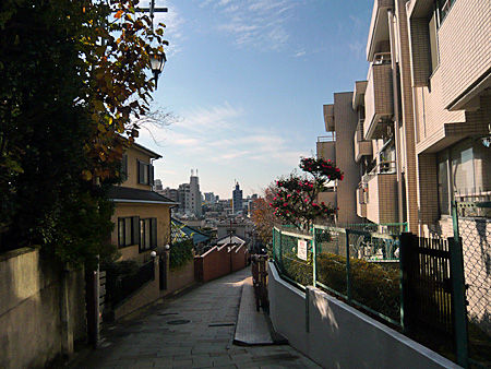 fuji2