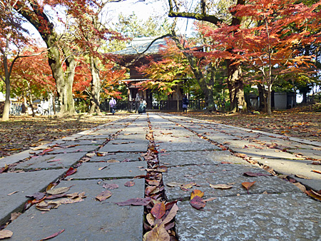 東漸寺