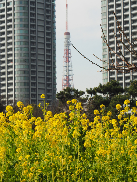東京タワー