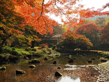 大堰川