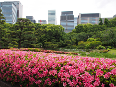 二の丸庭園