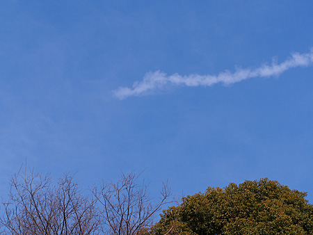 雲