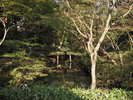 山陰橋
