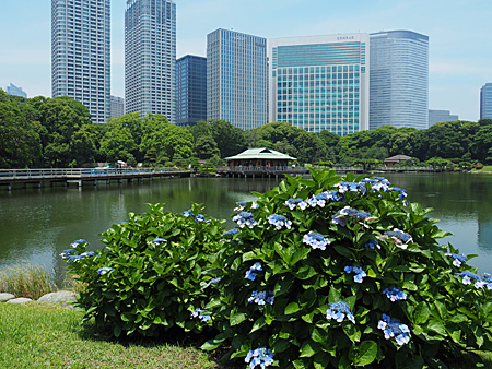 浜離宮庭園