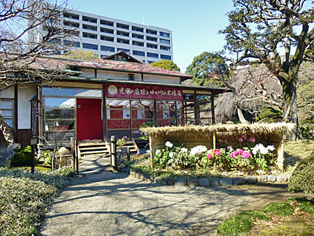 小石川後楽園 涵徳亭