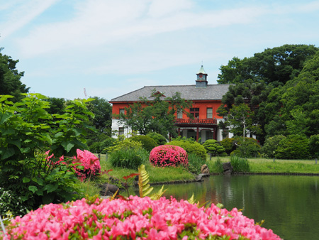 小石川植物園