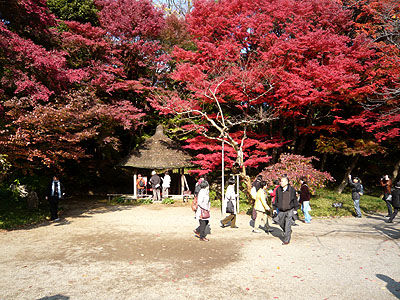 小石川後楽園