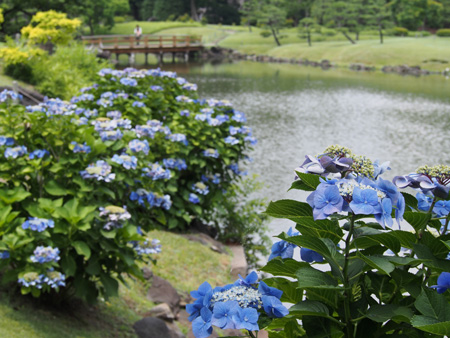 芝離宮