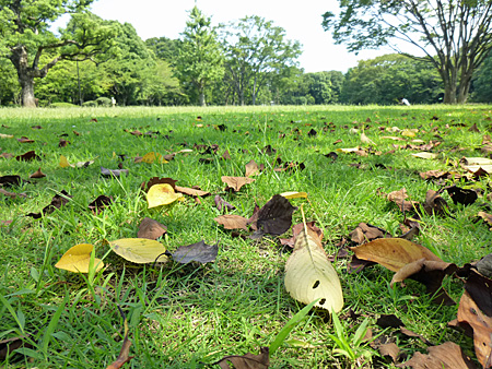 北の丸公園