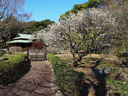 諏訪の茶屋