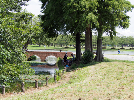 水元公園