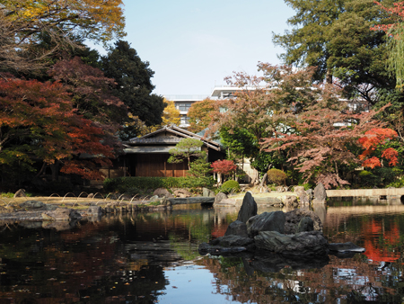 日本庭園