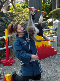 猿回し