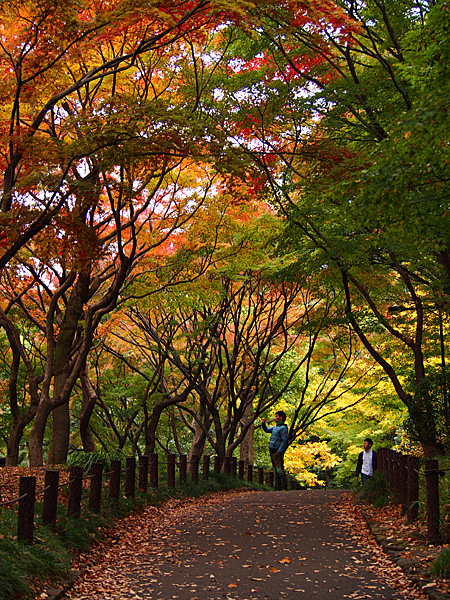 北の丸公園