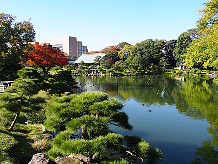 清澄庭園