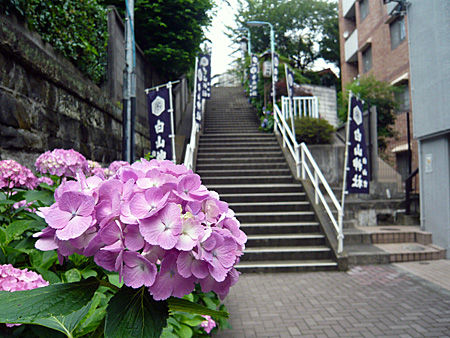 白山神社階段前