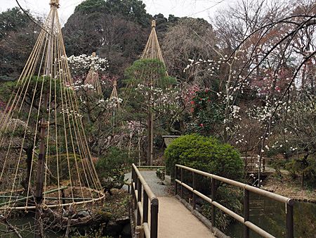京王百草園