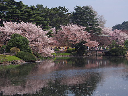 中の池