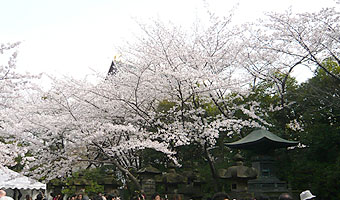 増上寺徳川家霊廟