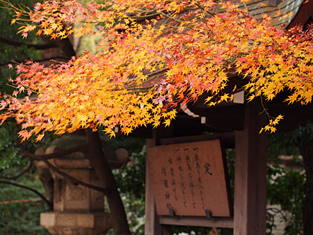 靖国神社