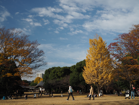 広場
