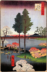 suwa1