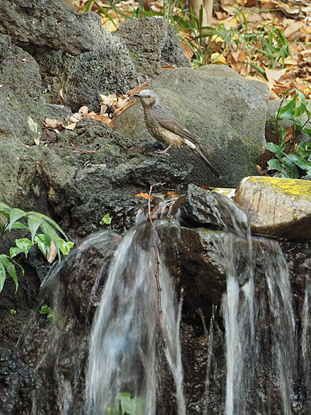 甘泉園公園