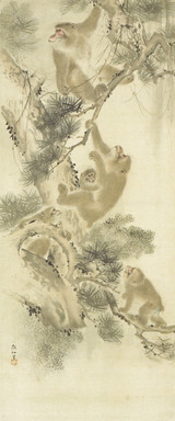 猿