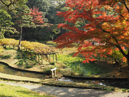 神田上水跡