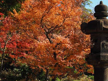 石灯籠と紅葉
