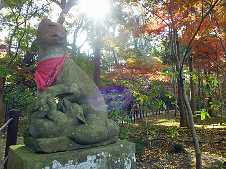 本土寺