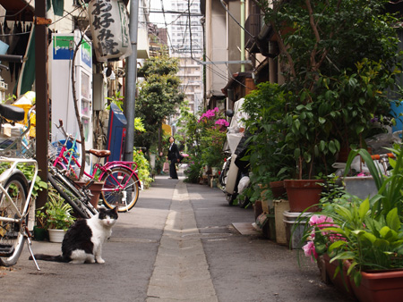 月島の路地