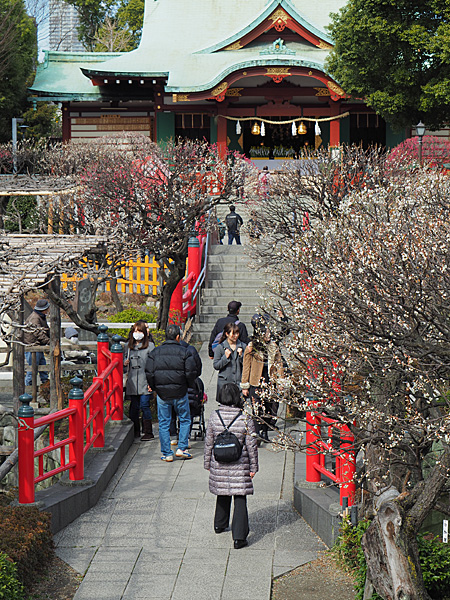 亀戸天神