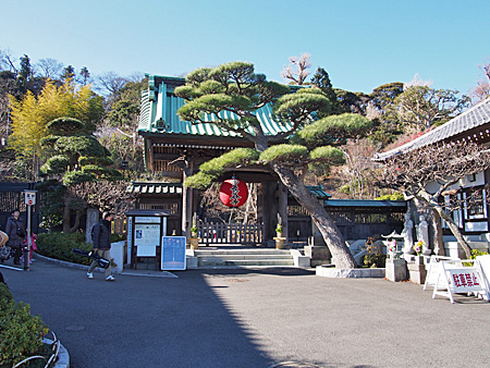 長谷寺