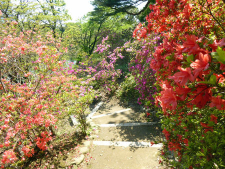 六義園