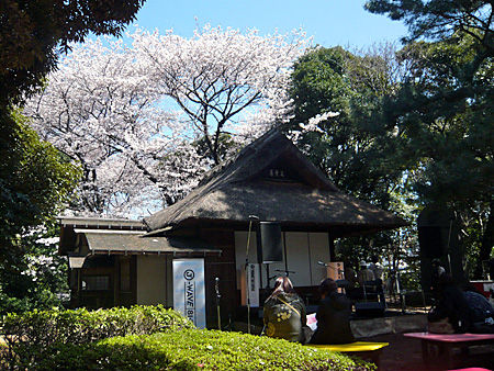 niwa1