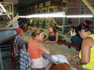 cuba-hand-pick-photo