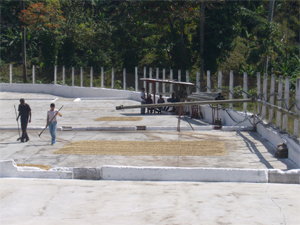 cuba-sundry-photo