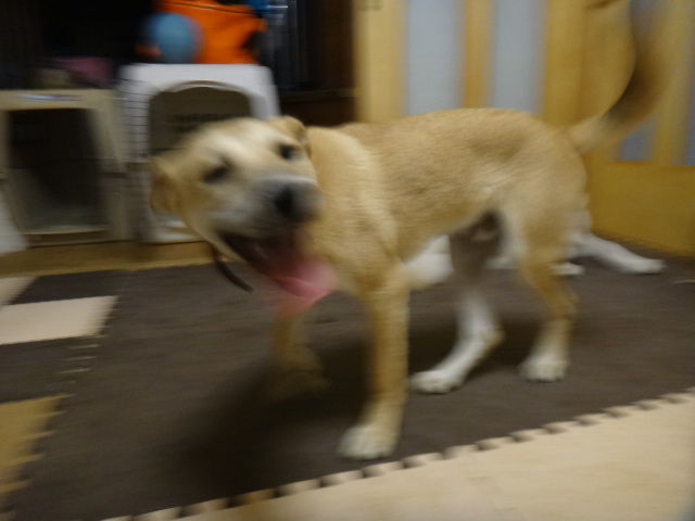 DSC05026