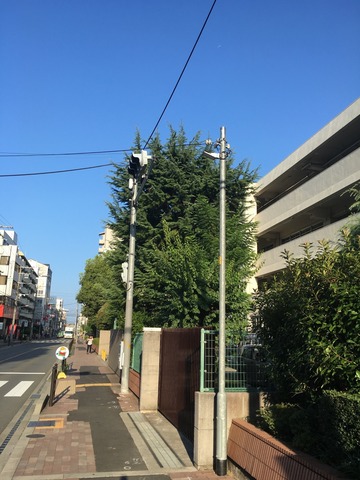 th_IMG_3315